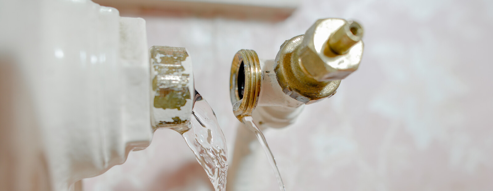 Kundendienst & Wartung